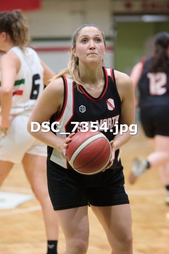 DSC 7354