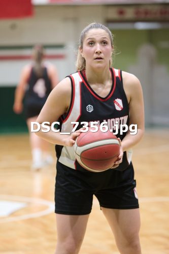 DSC 7356