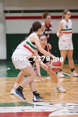 DSC 7379