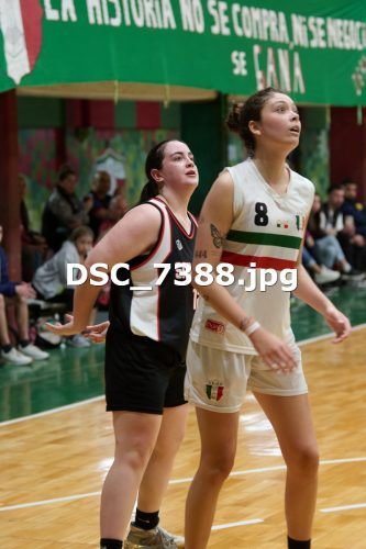 DSC 7388