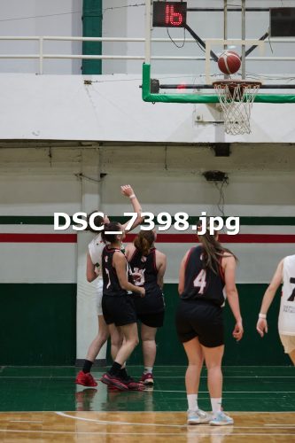 DSC 7398