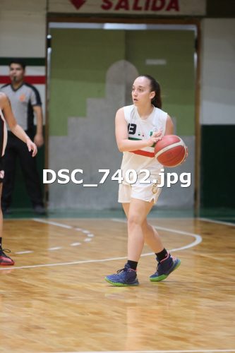 DSC 7402