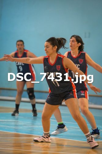 DSC 7431 (1)