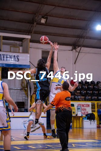 DSC 7446