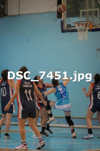 DSC 7451
