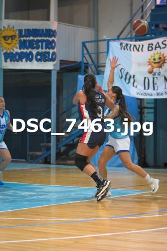 DSC 7463