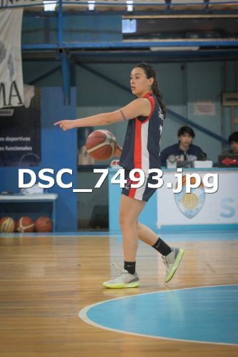 DSC 7493
