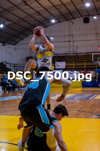 DSC 7500 (1)