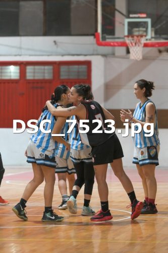 DSC 7523