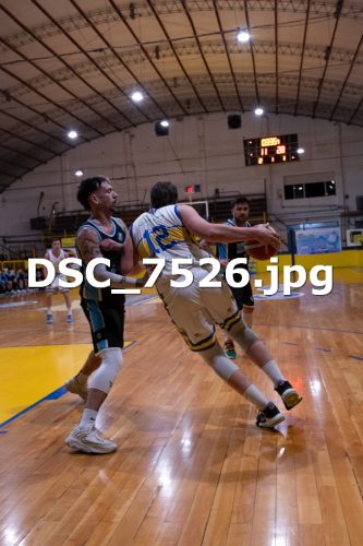 DSC 7526
