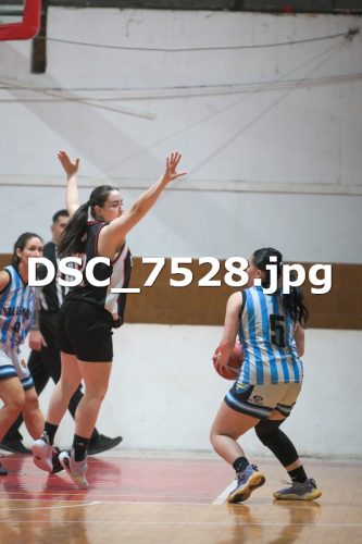 DSC 7528