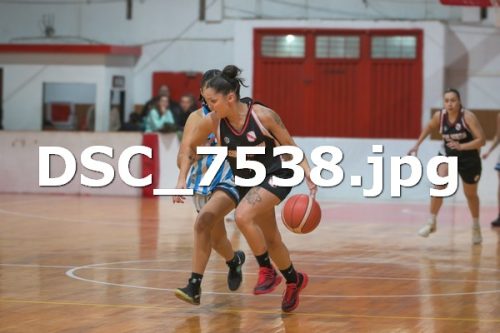 DSC 7538