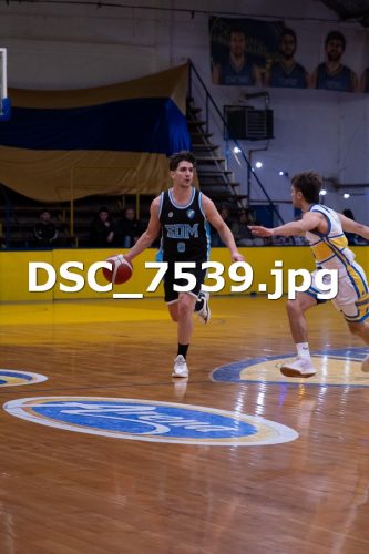 DSC 7539