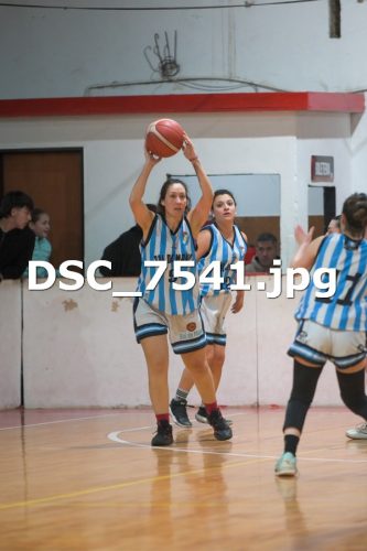 DSC 7541