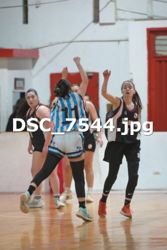 DSC 7544