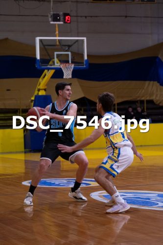 DSC 7546