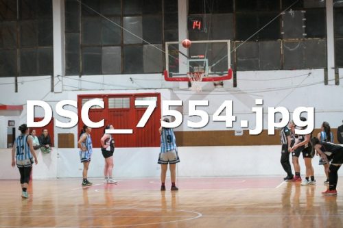 DSC 7554
