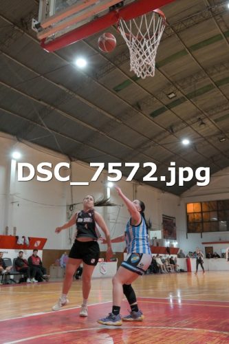 DSC 7572