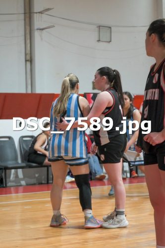 DSC 7589