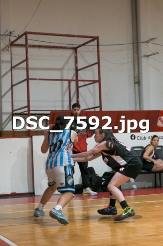 DSC 7592