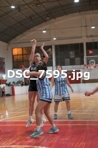 DSC 7595 (1)