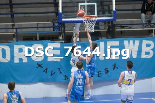 DSC 7644