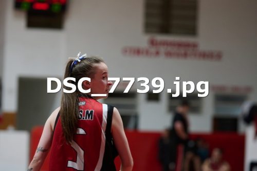 DSC 7739
