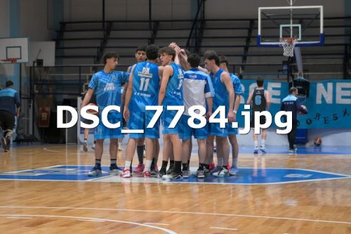 DSC 7784