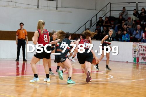 DSC 7787
