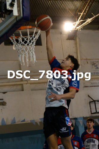 DSC 7803
