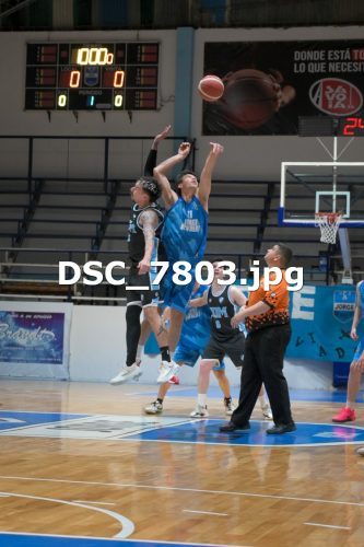 DSC 7803 (1)