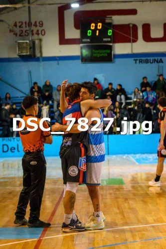 DSC 7827