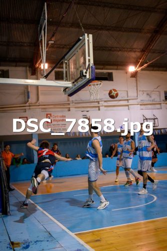 DSC 7858