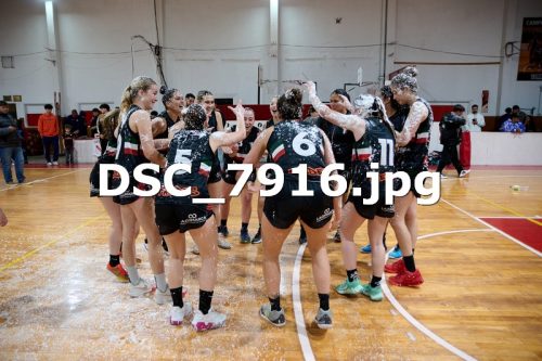 DSC 7916