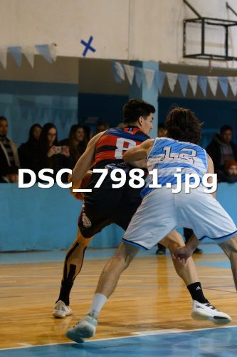 DSC 7981