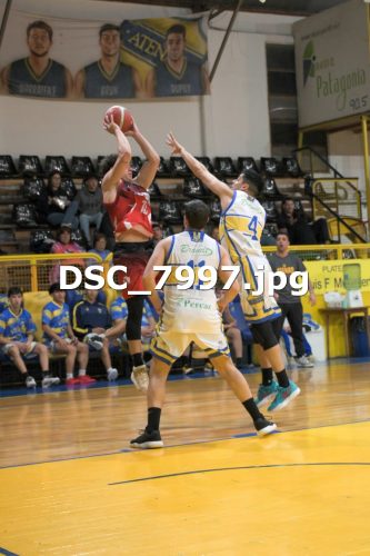 DSC 7997