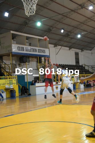 DSC 8018