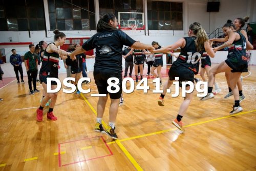 DSC 8041