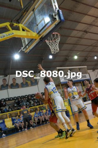DSC 8080