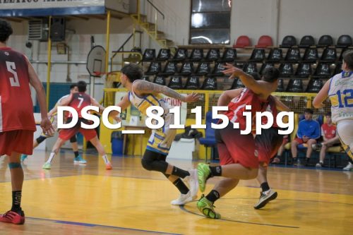 DSC 8115