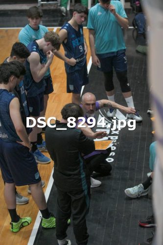 DSC 8294