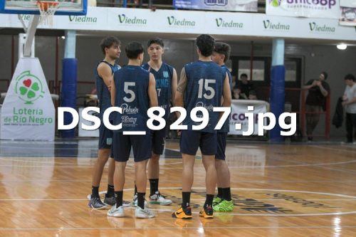 DSC 8297