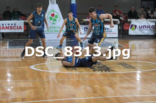 DSC 8313