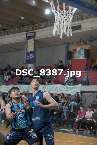 DSC 8387