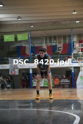 DSC 8420