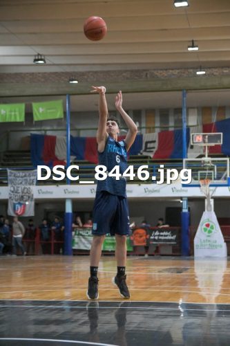 DSC 8446