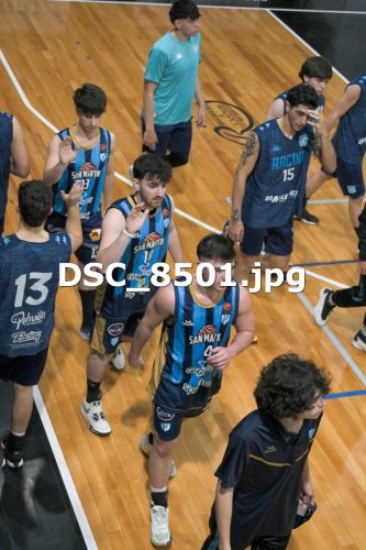DSC 8501
