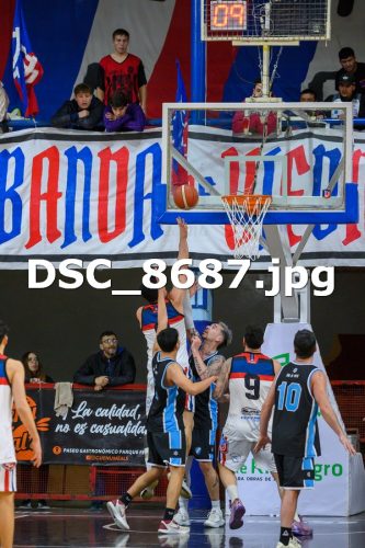 DSC 8687