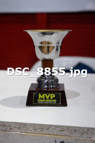 DSC 8855
