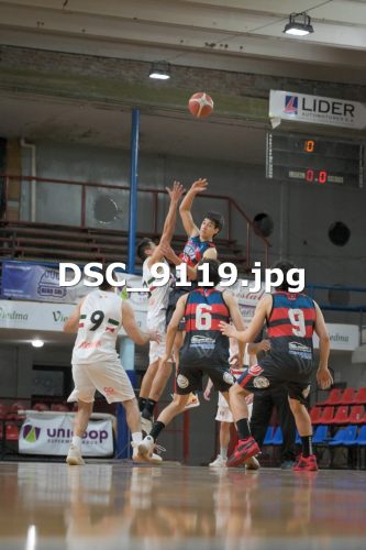 DSC 9119